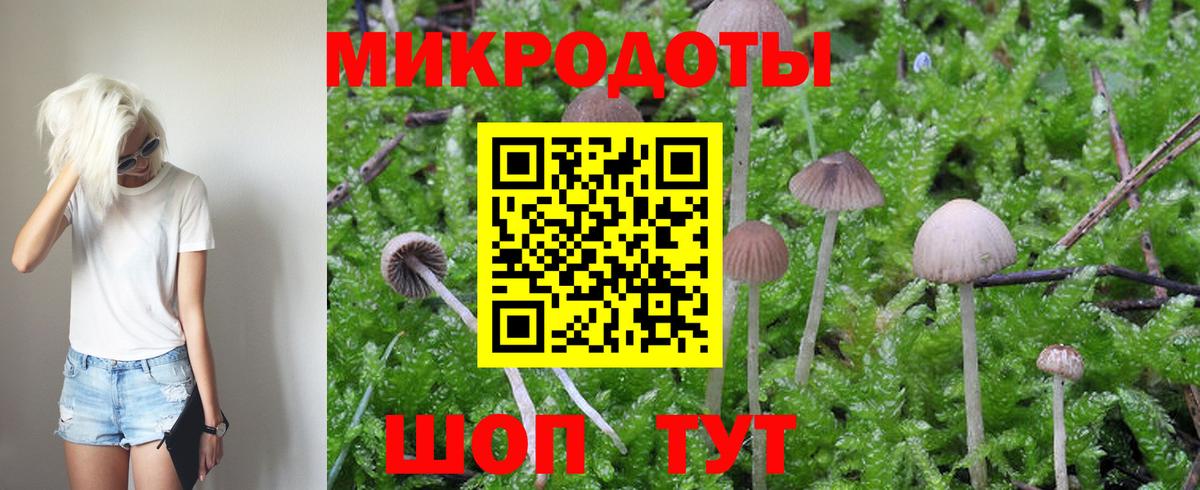 Псилоцибиновые грибы MAGIC MUSHROOMS Алексеевка